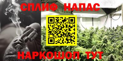 крисы Лесосибирск