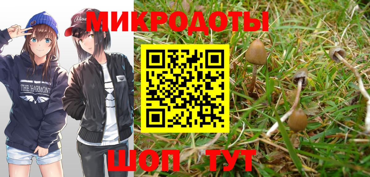 Псилоцибиновые грибы Magic Shrooms  Вход с VPN  Грязи 